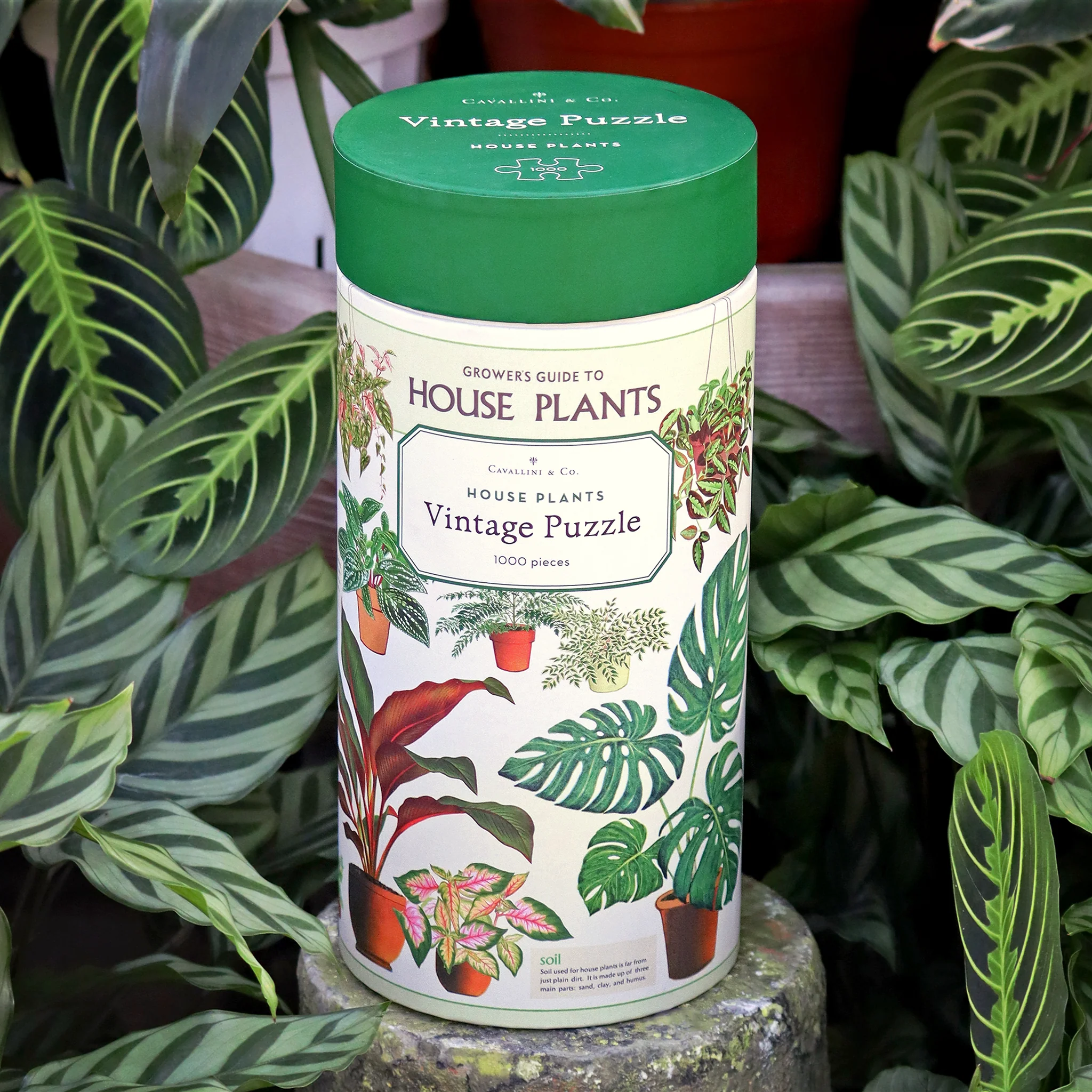 Cavallini & Co. Vintage Puzzles – 1000 Pieces